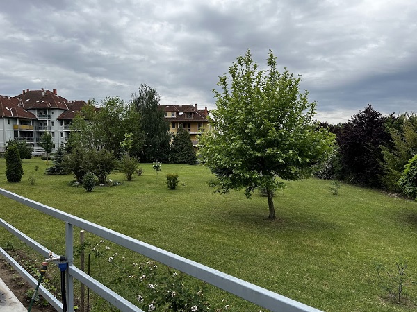 társasház hátsó kertje társasház hátsó kertje